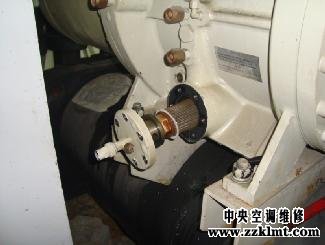 中央大香蕉导航网址香蕉视频下载导航更换油过滤芯